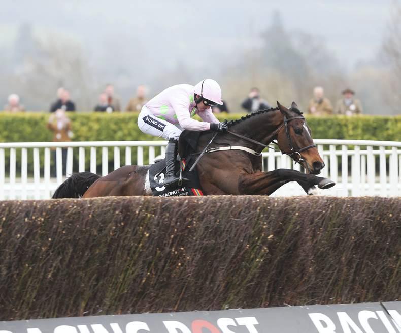 TALKING TRAINERS: Bring on the battle of champions