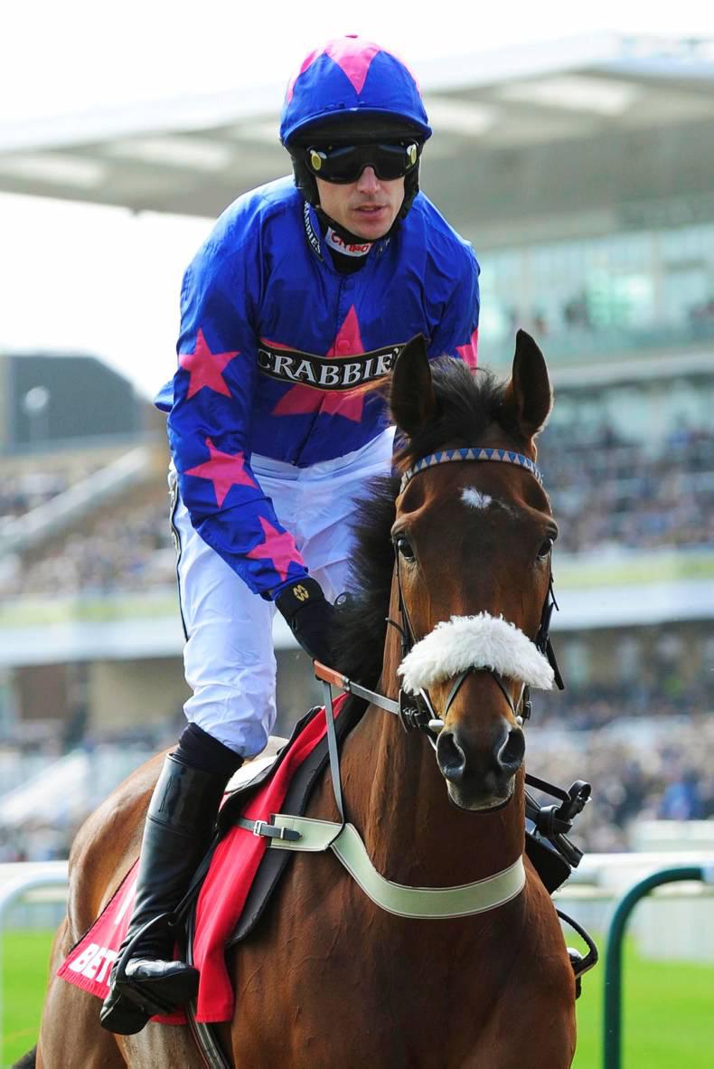 THE FINAL SHOWDOWN: Cue Card, the Don and Vautour