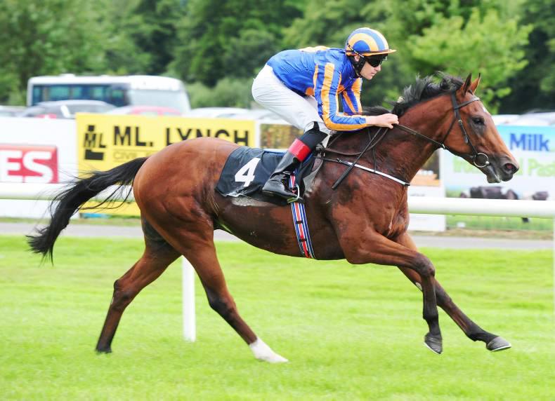 Epsom Derby hope Johannes Vermeer on the sidelines