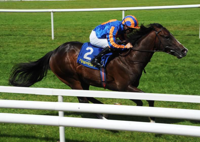 FRESHMAN SIRES: Eight sires with winners this week