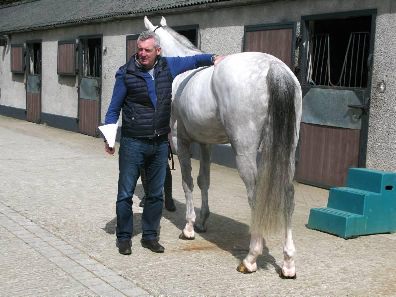 Barry O'Connor: Watch and learn from the best
