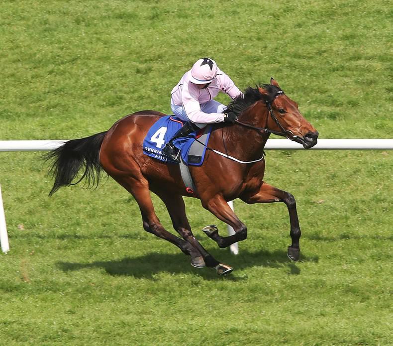 Bushranger filly Now has Group 1 potential