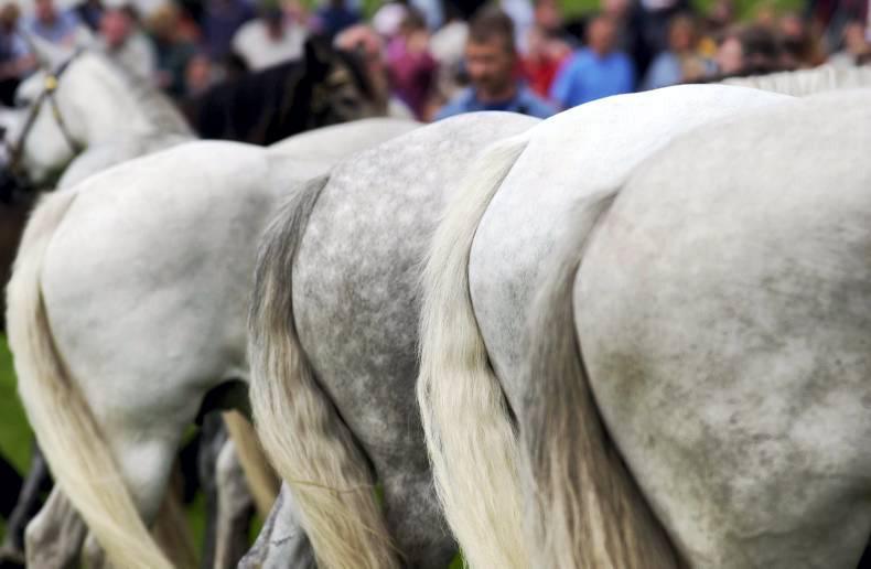 Hat-trick of titles for Bob Marley 