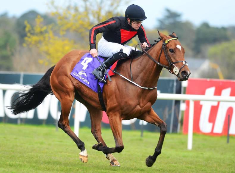 PEDIGREE NOTES: Stakes winners for the week 16th - 22nd May