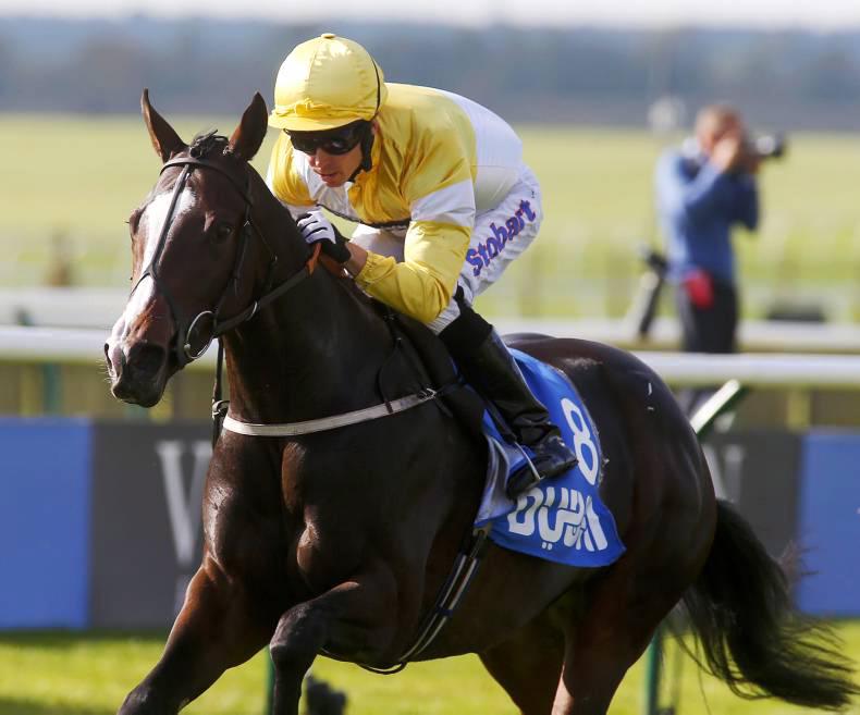 PEDIGREE NOTES: Stakes winners from 23rd to 29th May