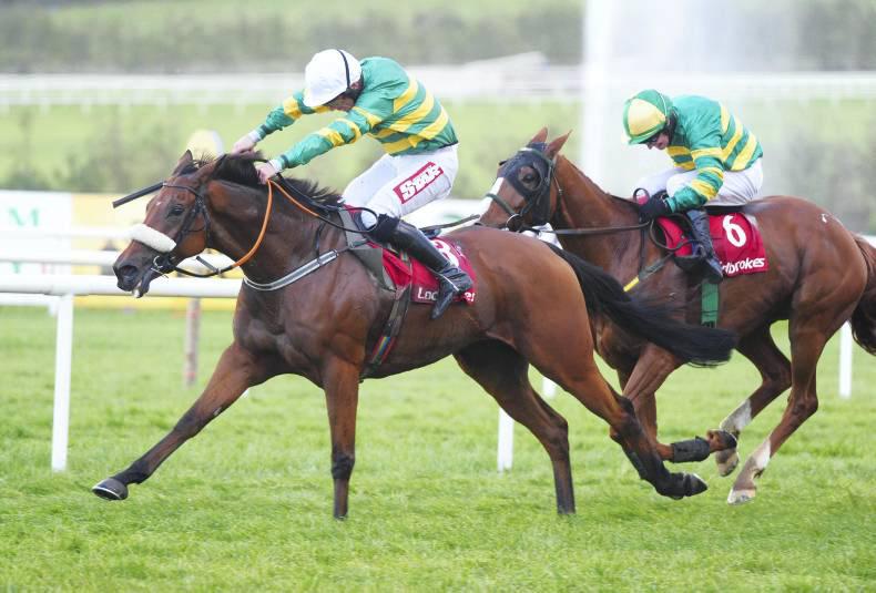 Shanpallas lands gamble at Ballinrobe
