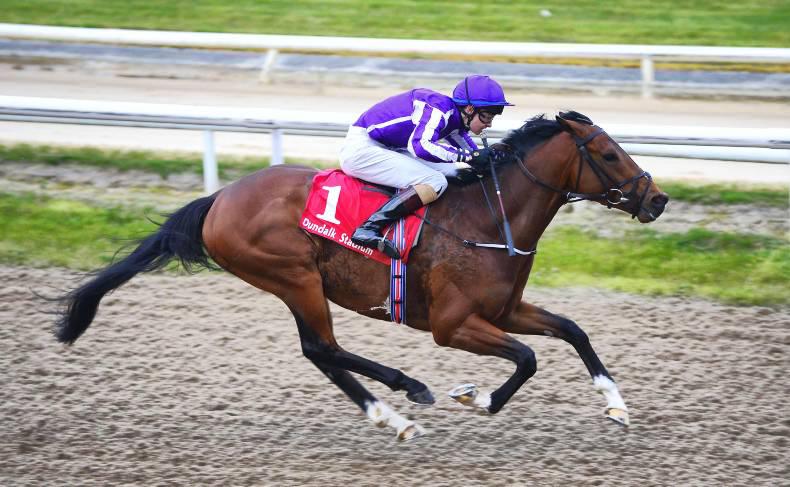 FRENCH PREVIEW: Soft ground suits Robin Of Navan 