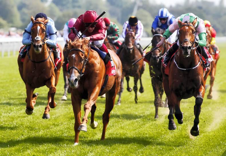 Massaat can land fairytale Derby win for Burrows 