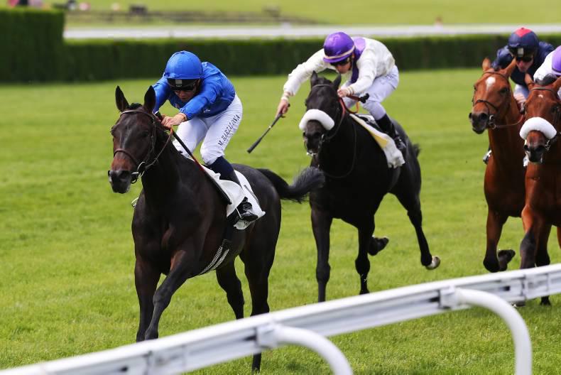 DERBY PREVIEW: Cloth Of Stars looks set to shine