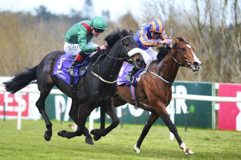 PEDIGREE NOTES: Stakes winners from 30th May to 5th June