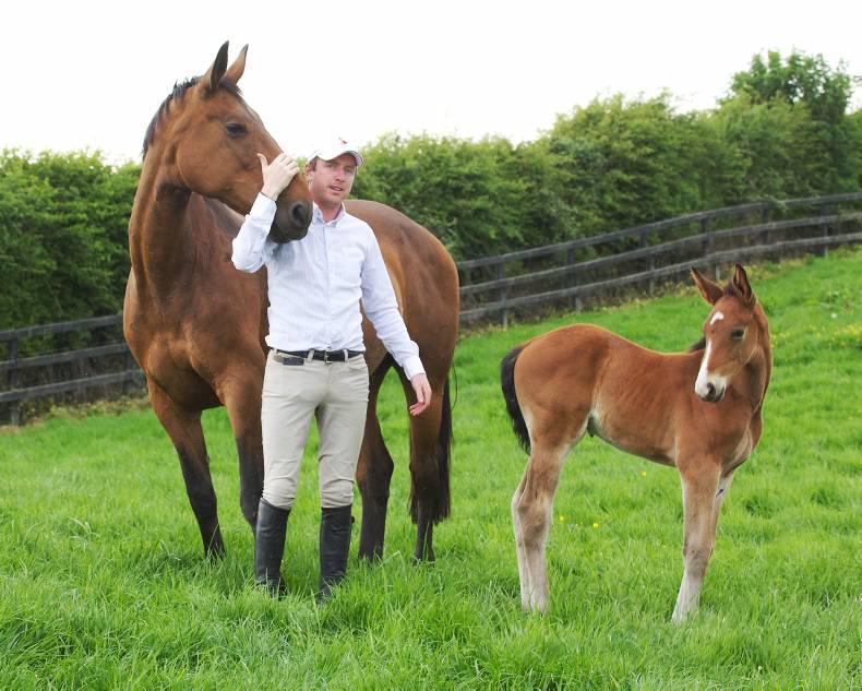 VIDEO: Three-parts brother to MHS Going Global to be auctioned for charity