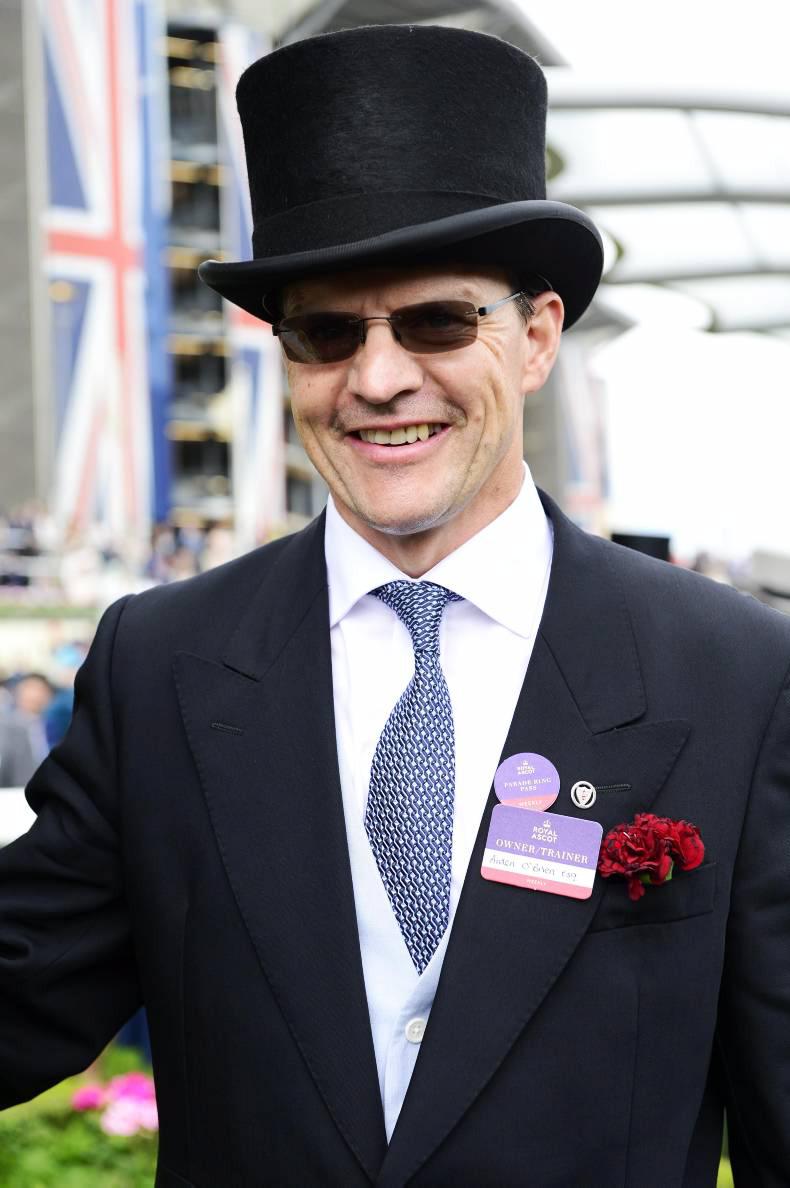 Order Of St George far too good in Gold Cup