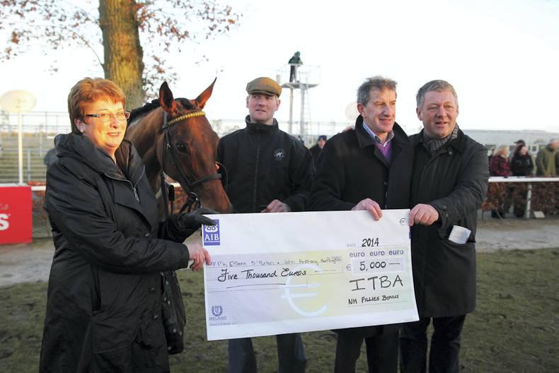 BONUS SCHEMES: The ITBA National Hunt Fillies Scheme explained