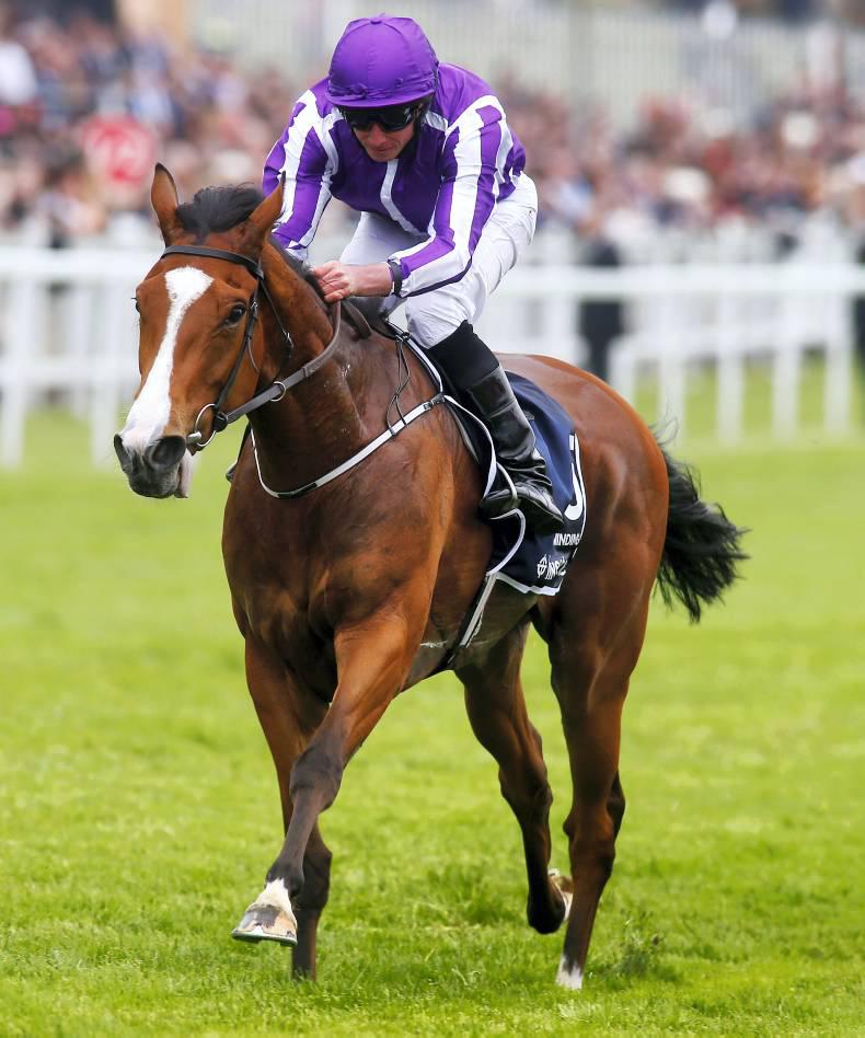 Minding heads 10 Pretty Polly contenders at the Curragh