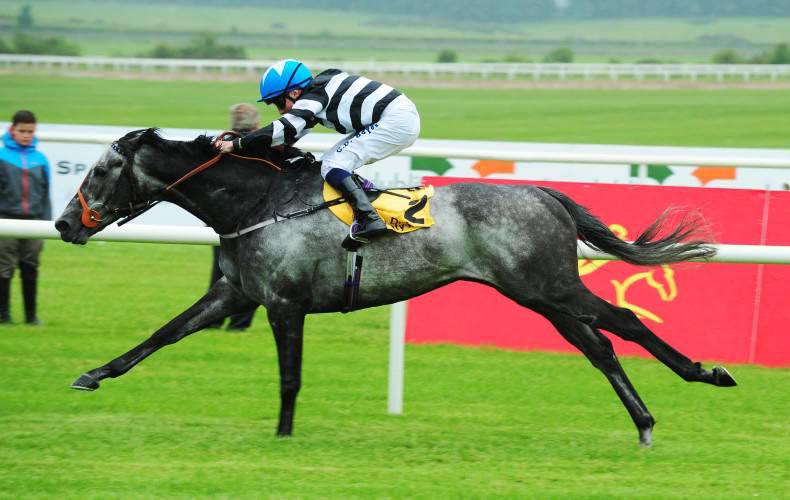 Debt lined up for Celebration double