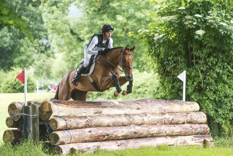 Murphy headlines record-breaking Grove