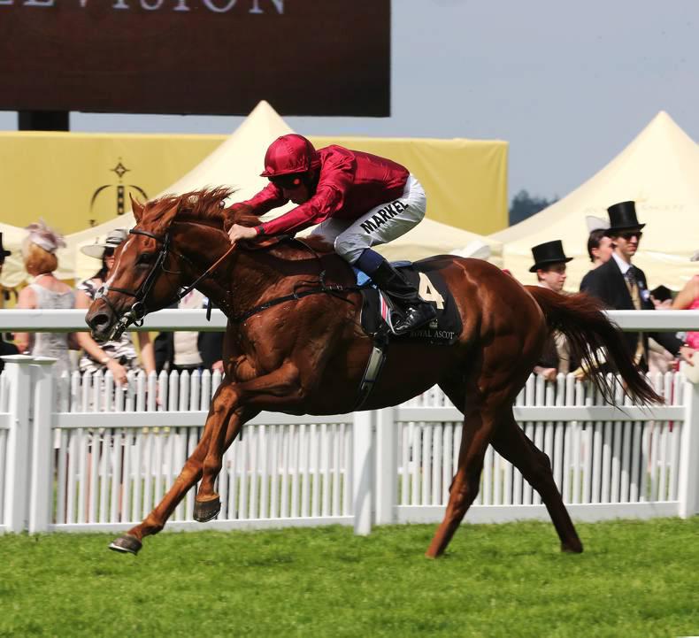 FRENCH PREVIEW: Eagle Top has eye on the prize