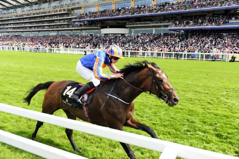 King George field fails to inspire