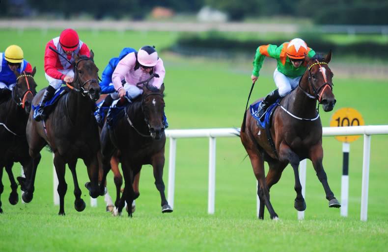 NAAS WEDNESDAY: Lynam's Fort gains further listed gold