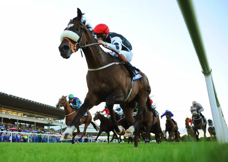 GALWAY SUNDAY: An excellent draw for front-runner Kelinni 