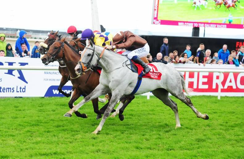 GALWAY SUN: A Dream finish for Ellison at Galway