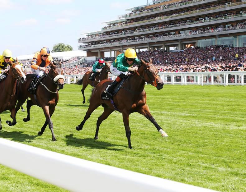 SALES: Quality yearlings at Doncaster