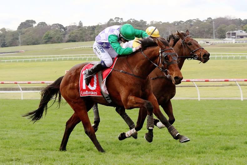 AUSTRALIA: Allen in Crisp form 