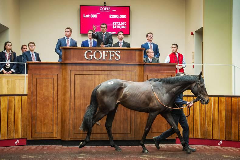 French trade bodes well for Doncaster yearling market
