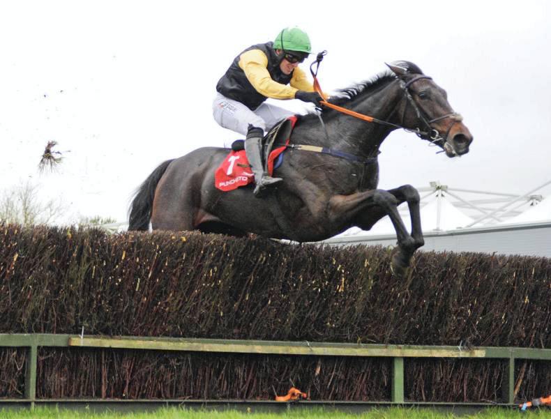 Two Grade 2 winners for sale at Goffs UK