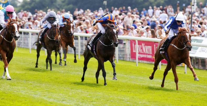 YORK THURSDAY: Queen Kindly the right Frankel filly in Lowther