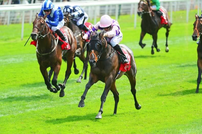 YORK THURSDAY: Hannon fires up a storm in sales race