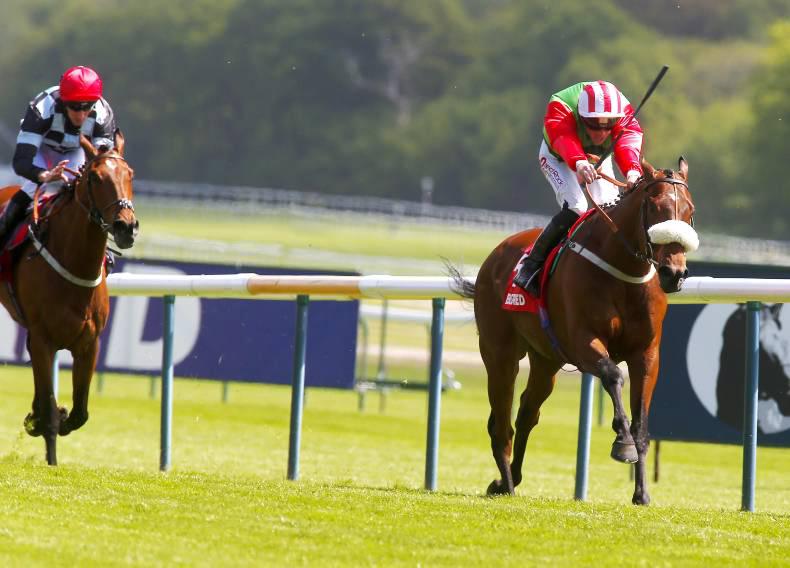 RORY DELARGY: Seamour can defy the stats in the Ebor