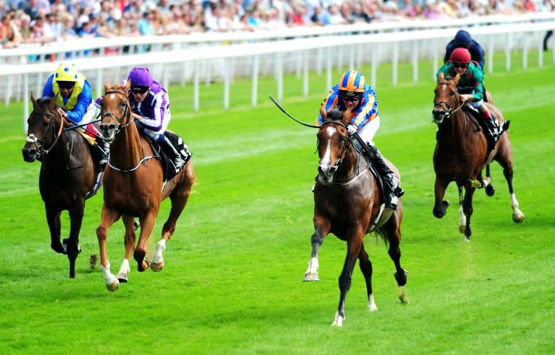 YORK WEDNESDAY: Idaho triumphs over Housesofparliament in the Voltigeur