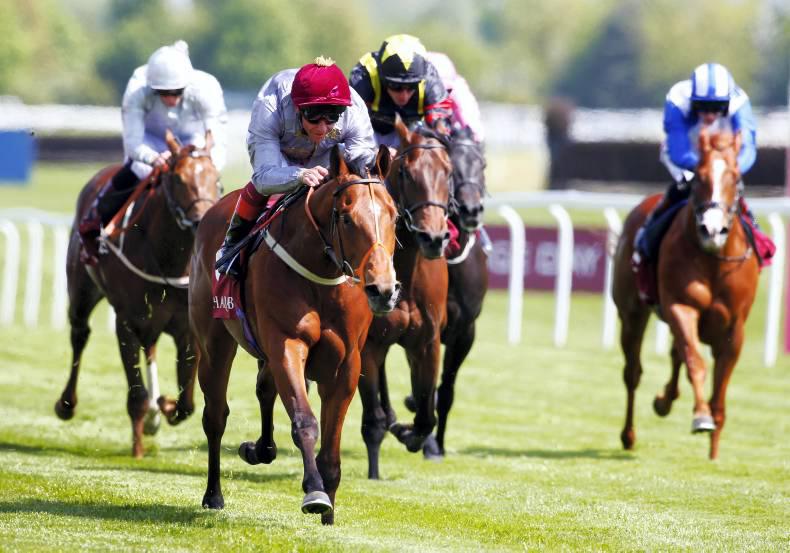 Mehmas on course for Caravaggio showdown at Newmarket