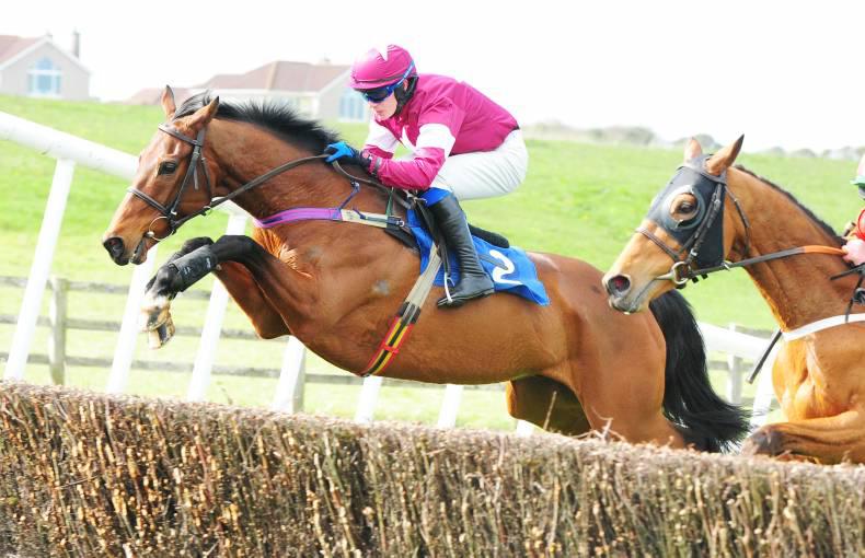 GOFFS UK SEPTEMBER SALE: Plenty of jumps winners at Doncaster 