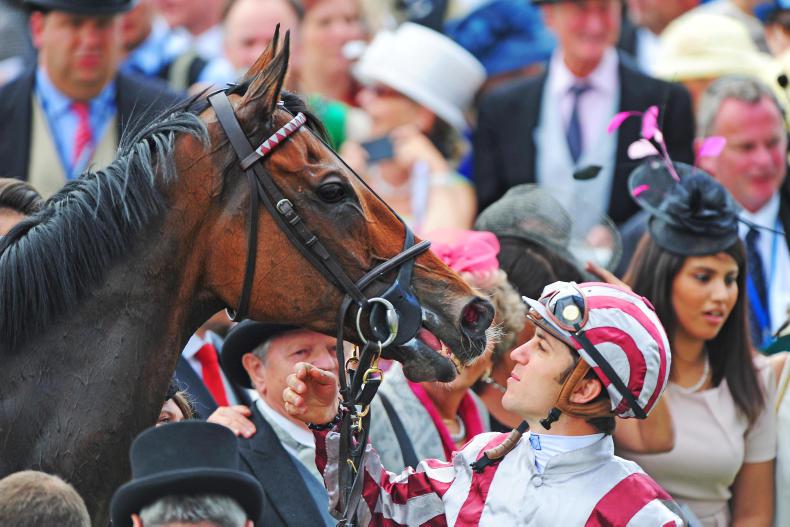 FRANCE: Cirrus and co enjoy retirement