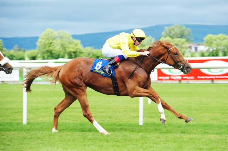 PEDIGREE NOTES: Notable recent stakes, freshman and other results