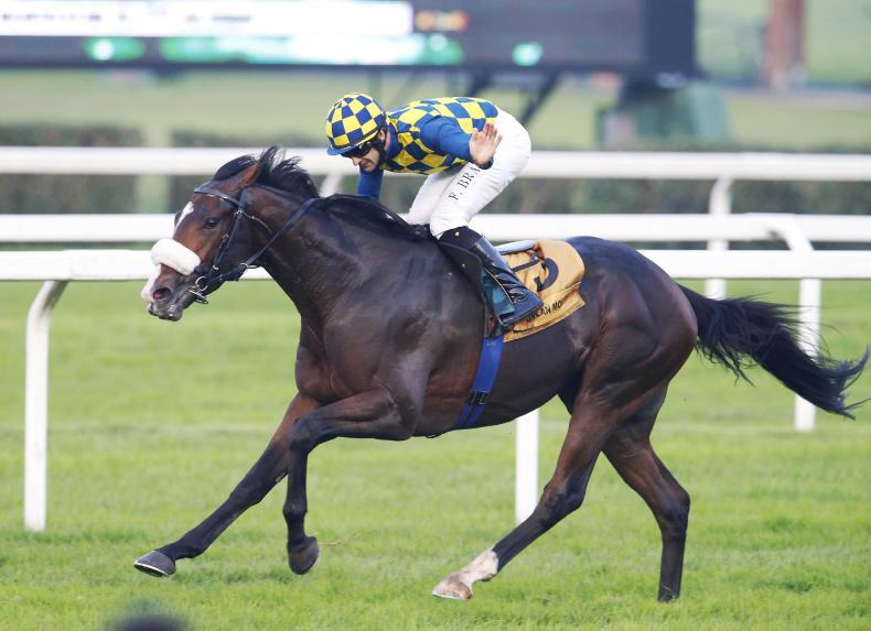 GERMAN PREVIEW: Serienholde has weight advantage