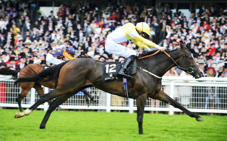 'Real deal' Quiet Reflection so impressive in Sprint Cup glory run