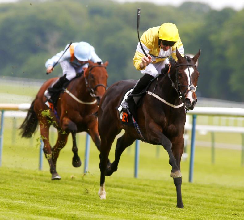 SIMON ROWLANDS: Quiet has big shout in Champions Sprint