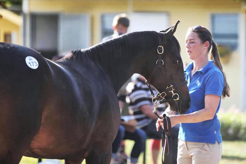 Sea The Stars on top but Soldier Hollow dominates