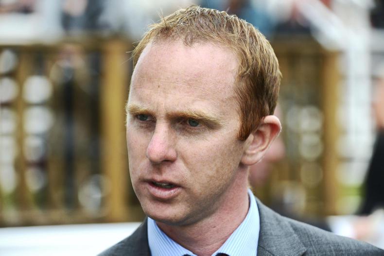 RACING ROUND-UP:  Horses and a stallion to note 