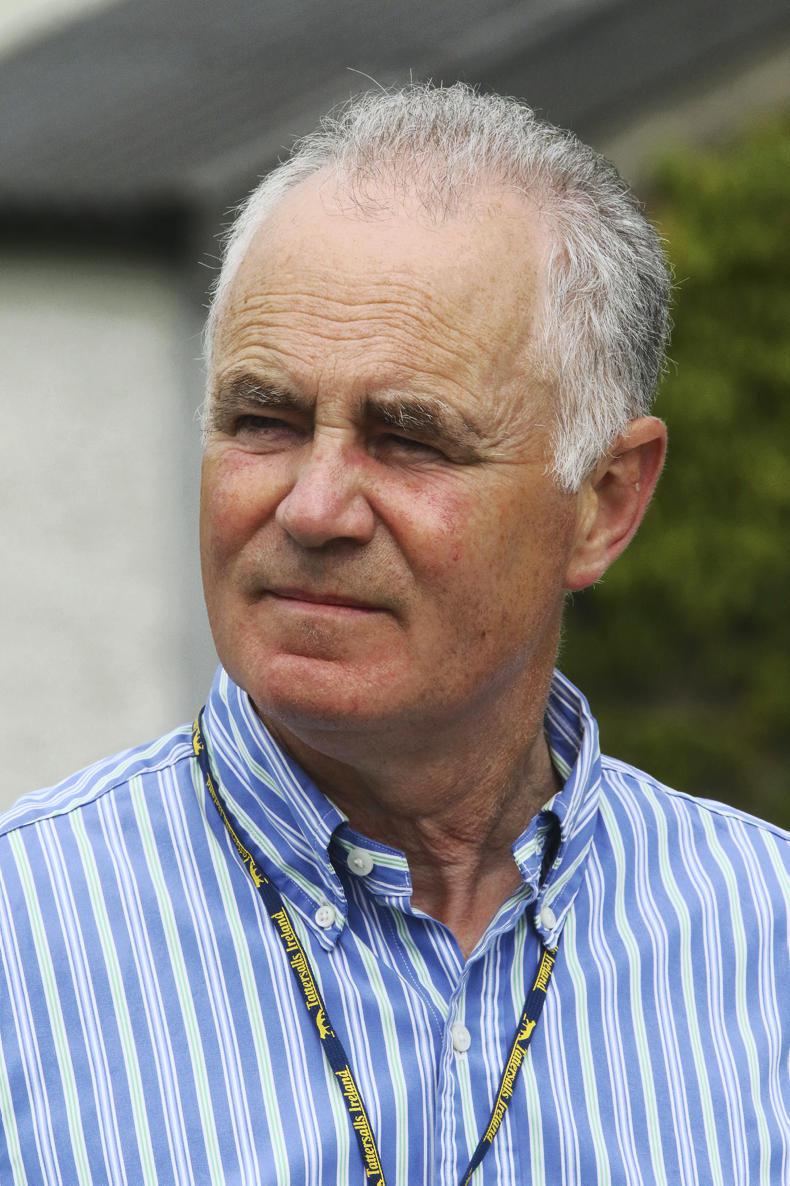 The Frankel that cost 'only' €130,000