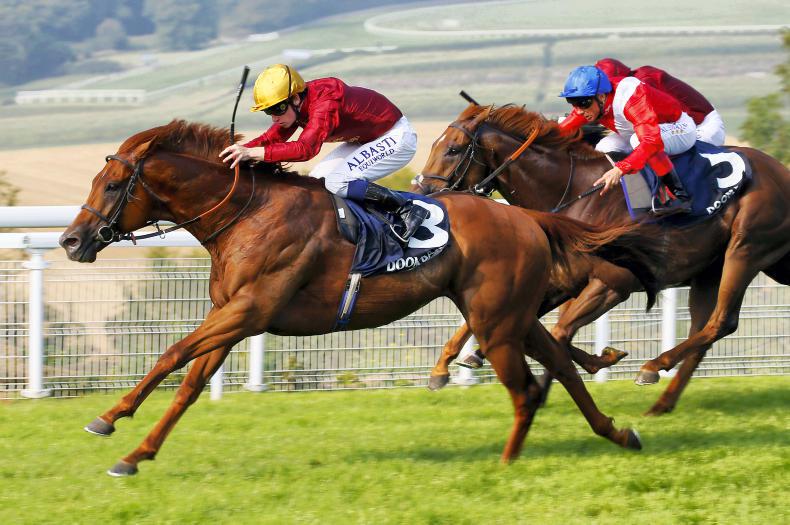 DONN McCLEAN: Qatar Racing's gold cap power