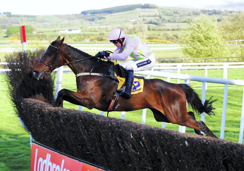 TALKING TRAINERS: Looking forward to the jumps season