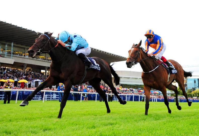 Ascot still top of Almanzor agenda despite featuring in Arc field