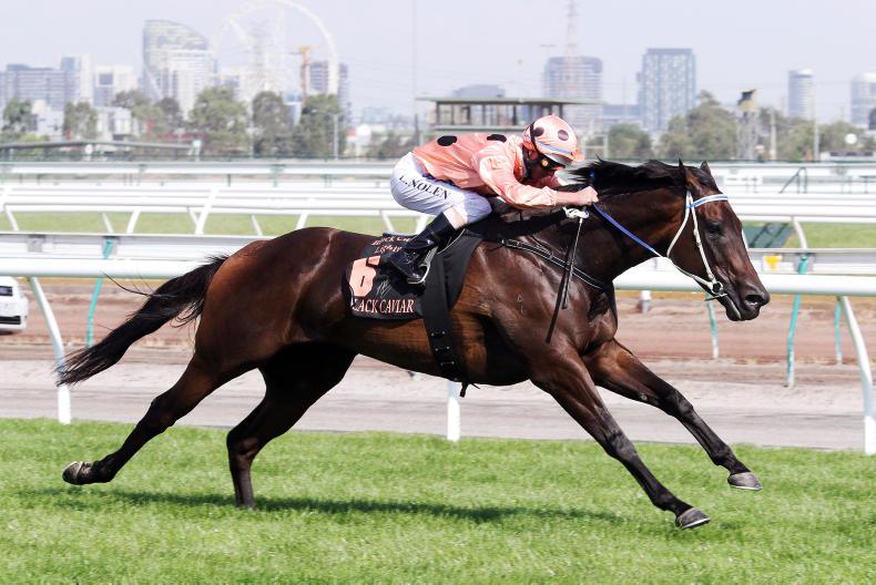 AUSTRALIA:  Third foal for Black Caviar