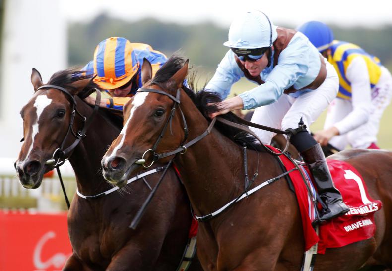 PEDIGREE NOTES: Notable stakes and freshman results