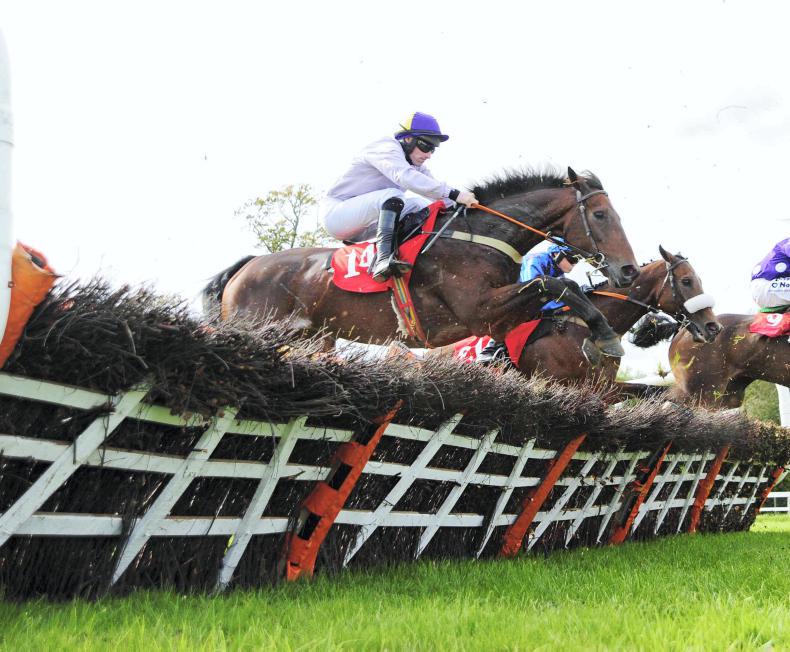 GOWRAN FRIDAY: Walsh spot on with Airlie Beach