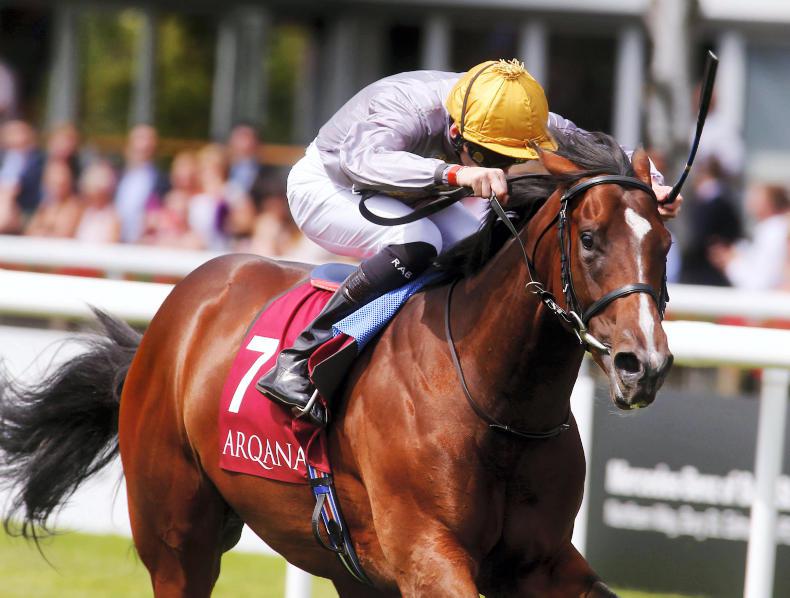 PEDIGREE NOTES: Notable recent stakes and freshman results